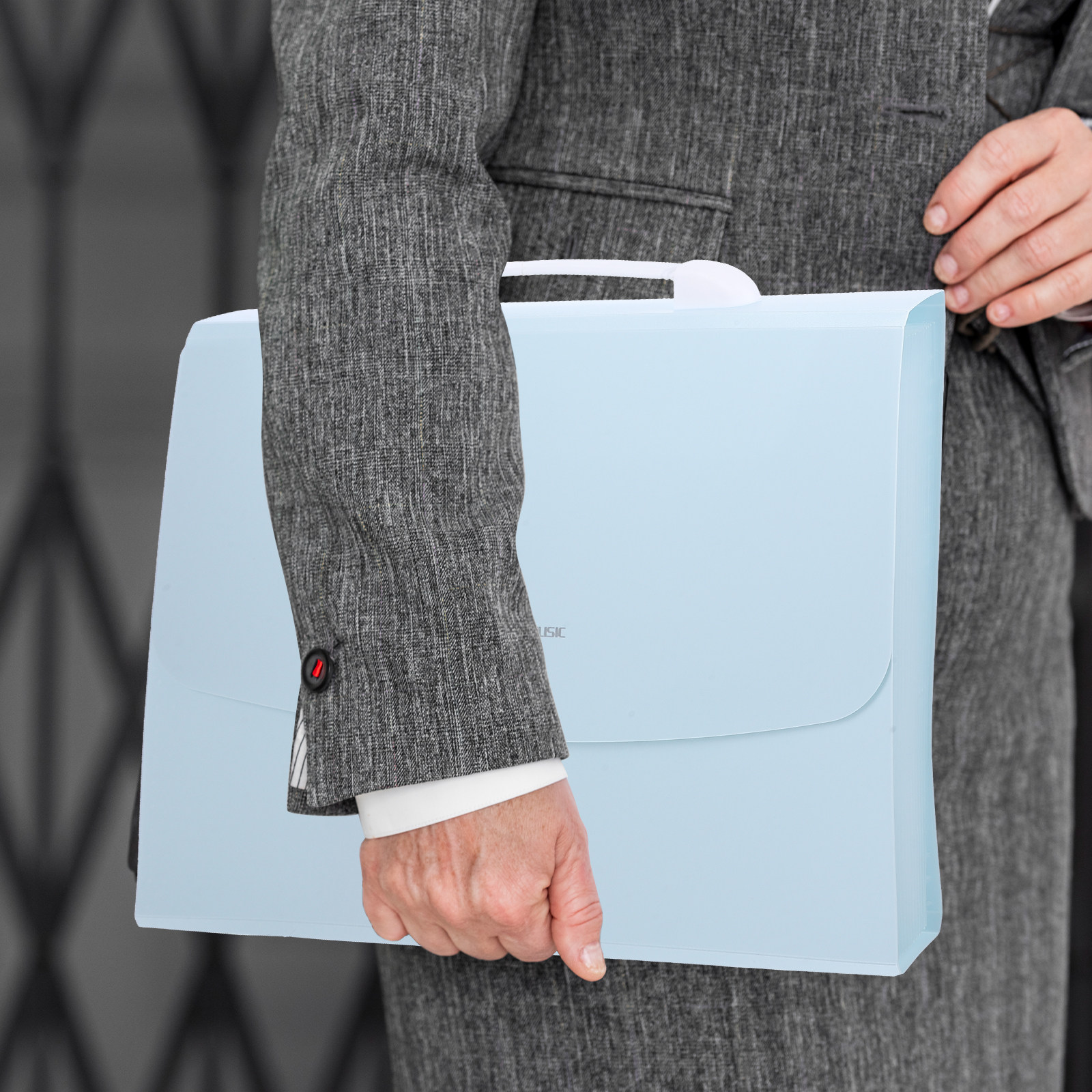 Handheld Accordion File Organi - Home Office Tax recensie en prijs